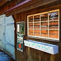 New Hampshire Maple Sugaring by Joann Vitali