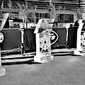 New York Jets On Ice B W by Rob Hans New York Jets On Ice B W by Rob Hans