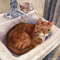 Next Time, Knock by Anne Gifford