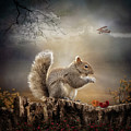 Nibbles Digital Art by Maggy Pease Nibbles Digital Art by Maggy Pease