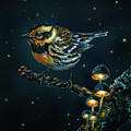 Night Song by Lachri