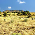 No Man's Land - Oklahoma Panhandle - Black Mesa by Debra Martz