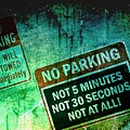 No Parking Photograph by Claudia Zahnd-Prezioso No Parking Photograph by Claudia Zahnd-Prezioso