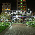 Nob Hill Holiday Decorations by Bonnie Follett
