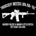 Nobody Needs An AR-15 Pro-2A Digital Art by Flippin Sweet Gear Nobody Needs An AR-15 Pro-2A Digital Art by Flippin Sweet Gear