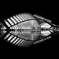 Nocturnal Elegance by Elvira Peretsman