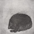 Nonchaloir - etching Drawing by David Ladmore Nonchaloir - etching Drawing by David Ladmore