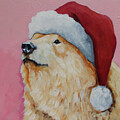 North Pole Bear by Lucia Stewart