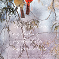 Northern Cardinal Love Story Photograph by Sandra Rust Northern Cardinal Love Story Photograph by Sandra Rust
