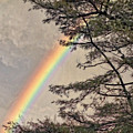 Northern Forest Rainbow Photograph by Russ Considine Northern Forest Rainbow Photograph by Russ Considine