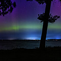 Northern Lights Magic Higgins Lake South State Park Photograph by Joe Holley