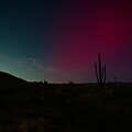 Northern Lights Tonto National Forest by Tammy Keyes