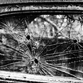 Not Bulletproof Photograph by Louis Dallara Not Bulletproof Photograph by Louis Dallara