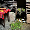 Nourishment in the Kitchen by Tanya White