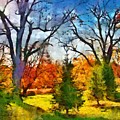 November Field Mixed Media by Christopher Reed November Field Mixed Media by Christopher Reed