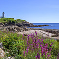 Nubble Light Flowers Photograph by Chris Whiton Nubble Light Flowers Photograph by Chris Whiton