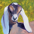 Nubian Baby Goat by Marsha Karle