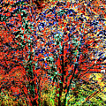 Oak Creek Canyon Fall Tree Digital Art by Joe Hoover Oak Creek Canyon Fall Tree Digital Art by Joe Hoover