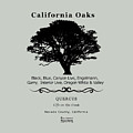 Oak Tree illustration Digital Art by Lisa Redfern Oak Tree illustration Digital Art by Lisa Redfern