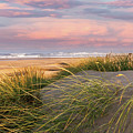 Ocean Sunrise Florence Oregon by Allin Sorenson