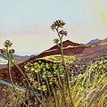 Looking West - The Mishe Mokwa Trail Painting by Luisa Millicent Looking West - The Mishe Mokwa Trail Painting by Luisa Millicent