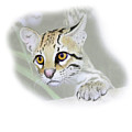 Ocelot #1 by Tony Mills