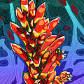 Ocotillo Cactus Bloom by Rod Whyte