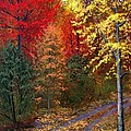 October Road by Frank Wilson October Road by Frank Wilson
