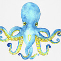 Octopus Painting by Michele Fritz Octopus Painting by Michele Fritz