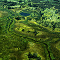 Okawango #1 by Stefan Knauer