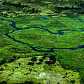 Okawango #2 by Stefan Knauer