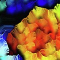 OKeeffian Petals Triptych Print Number 3 Blossoming Gold Mixed Media by Aberjhani OKeeffian Petals Triptych Print Number 3 Blossoming Gold Mixed Media by Aberjhani