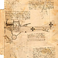 Old Albatros Drawing by Charlie Roman Old Albatros Drawing by Charlie Roman