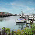 Old Fisherman's Wharf and Harbor in Monterey Photograph by David Levin Old Fisherman's Wharf and Harbor in Monterey Photograph by David Levin