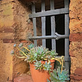 Old Historic Tuscan Windowsill Photograph by Rebecca Herranen Old Historic Tuscan Windowsill Photograph by Rebecca Herranen