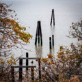 Old pilings at Buckeye Point by Donald Kinney