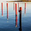 Old Pilings by Tony Locke
