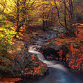 Old River Photograph by Evgeni Dinev Old River Photograph by Evgeni Dinev