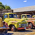 Old rusted and yellow in a row Photograph by Tatiana Travelways