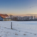 Old Rustic Barn On A Winter Morning by Dave Sandt