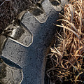 Old Tractor Tire In Tall Grass Photograph by Karen Rispin Old Tractor Tire In Tall Grass Photograph by Karen Rispin