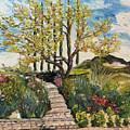 The Olive Tree at Gershon Bachus Vintners Painting by Roxy Rich The Olive Tree at Gershon Bachus Vintners Painting by Roxy Rich