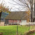 Olympic Peninsula Barn Photograph by Cathy Anderson Olympic Peninsula Barn Photograph by Cathy Anderson