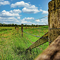 On The Farm by Rick Nelson