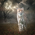 On The Prowl by Maggy Pease