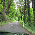 On the Road Photograph by Juliette Becker On the Road Photograph by Juliette Becker