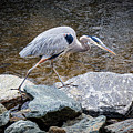 On the Rocks by Thomas Marchessault