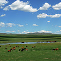 One day Countryside Photograph by Elbegzaya Lkhagvasuren One day Countryside Photograph by Elbegzaya Lkhagvasuren