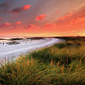 One Summer Evening by Adam West