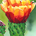 Opuntia Painting by Espero Art Opuntia Painting by Espero Art